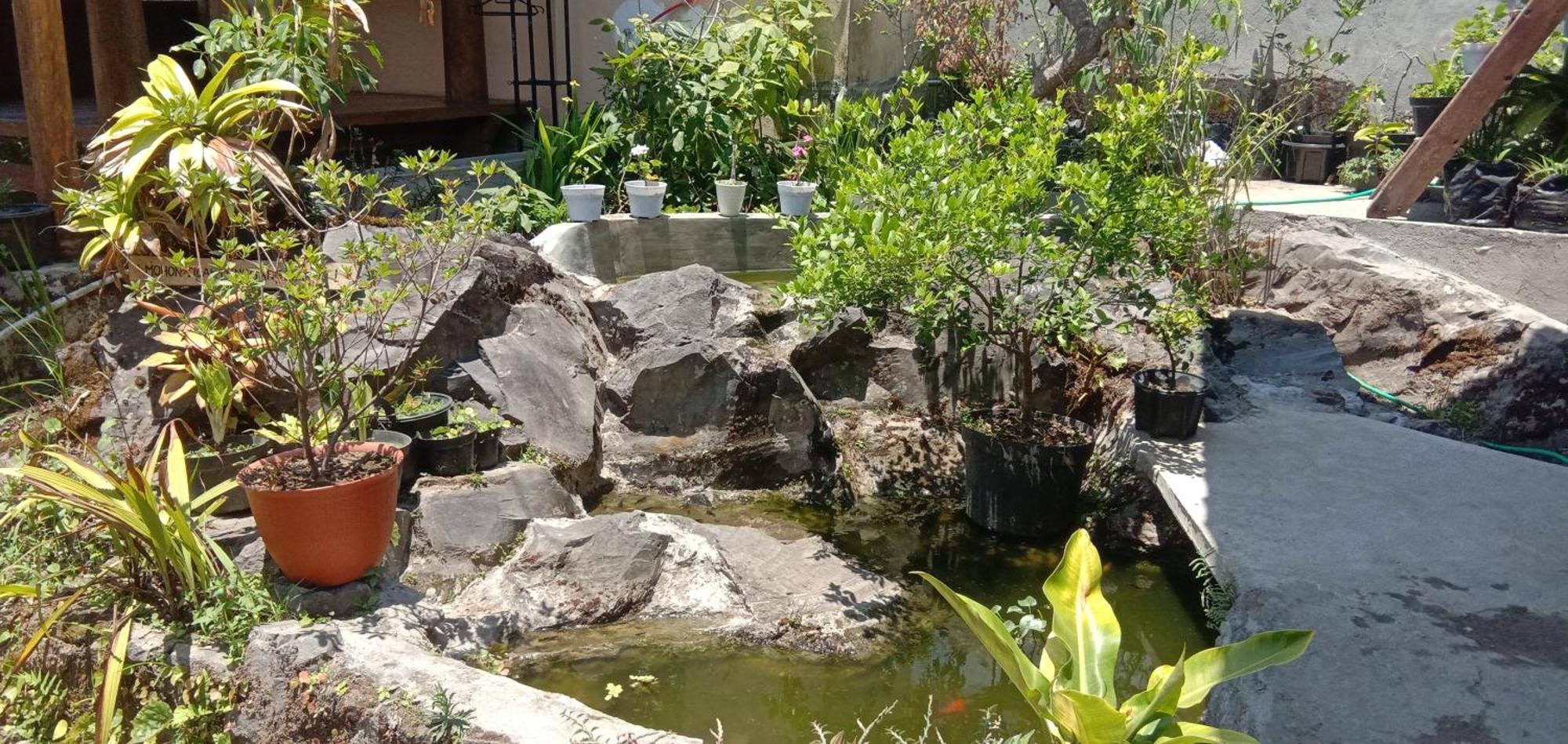 Radiya Guesthouse Sembalunlawang Zimmer foto